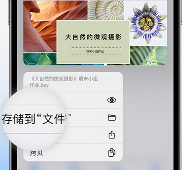 修文apple维修中心分享iPhone文件应用中存储和找到下载文件