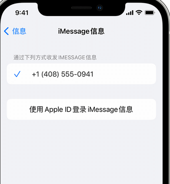 修文apple维修iPhone上无法正常发送iMessage信息 