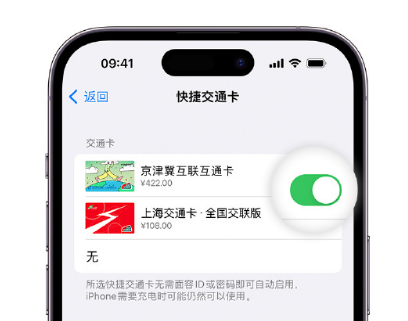 修文apple维修点分享iPhone上更换Apple Pay快捷交通卡手绘卡面 