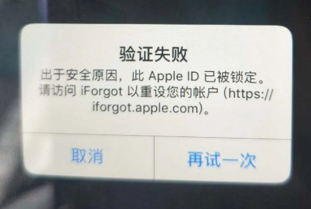 修文iPhone维修分享iPhone上正常登录或使用AppleID怎么办 