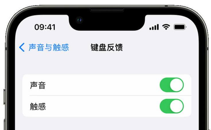 修文苹果手机维修分享iPhone 14触感键盘使用方法 