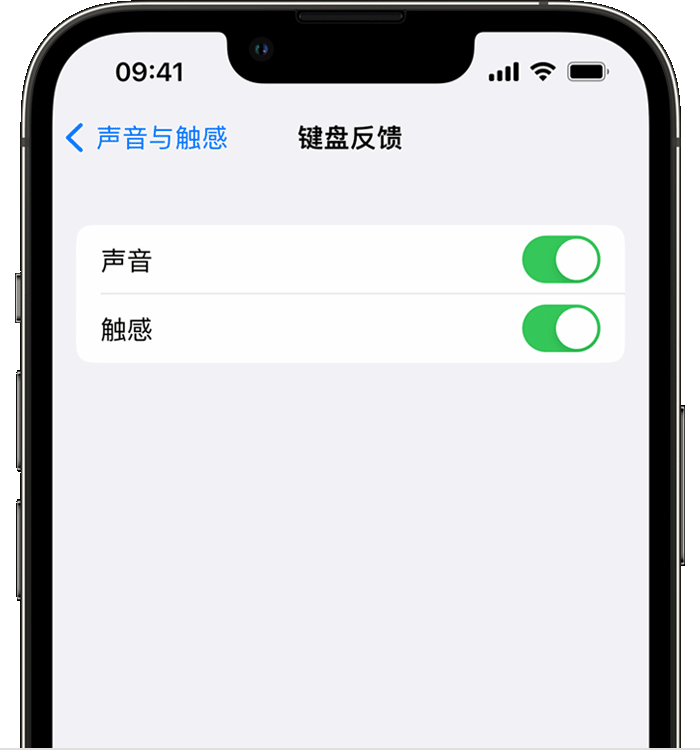 修文苹果14维修店分享如何在 iPhone 14 机型中使用触感键盘 