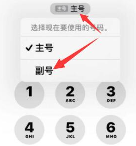 修文苹果14维修店分享iPhone 14 Pro Max使用副卡打电话的方法 