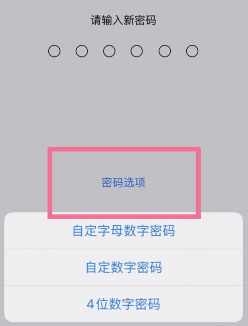 修文苹果14维修分享iPhone 14plus设置密码的方法 