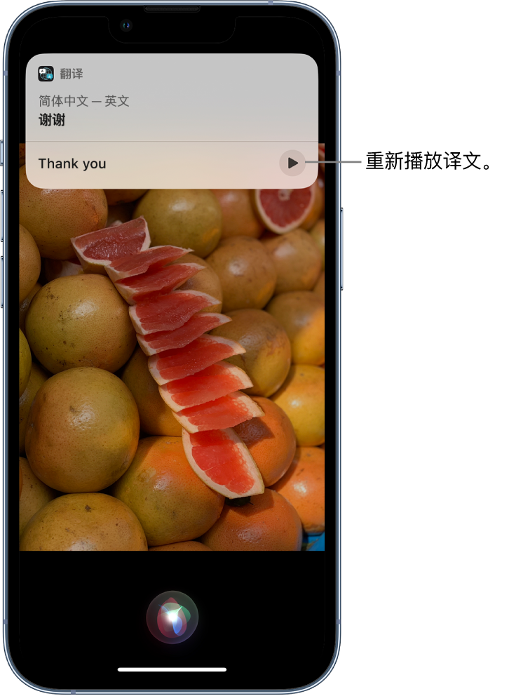 修文苹果14维修分享 iPhone 14 机型中使用 Siri：了解 Siri 能帮你做什么 