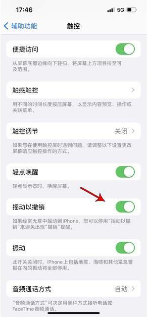 修文苹果手机维修分享iPhone手机如何设置摇一摇删除文字 